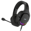 AURICULAR GAMING NETWAY HX360