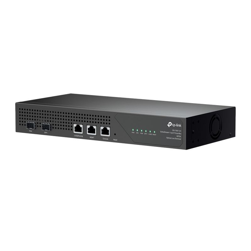 SWITCH GESTIONABLE TP-LINK DS-P7001-01 OLT 1xGPON 1x10GE SFP+ 1x2,5GBE FUNCIONES L2 L2+L3 - Imagen 3 de 4