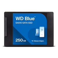 Miniatura 1 de WESTERN DIGITAL  WDS250G3B0A  SSD 250GB 2.5"  555MB/s micro SATA NVMe