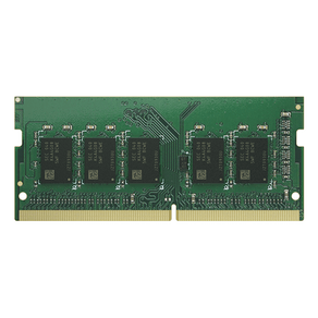 RAM module for DS925+