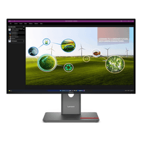 Miniatura 1 de LENOVO ThinkVision P27Q-40 Monitor  ThinkVision 27" LED IPS Quad HD HDMI