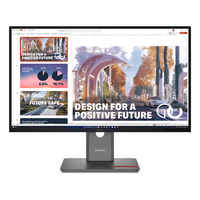 Miniatura 1 de LENOVO ThinkVision P27QD-40 Monitor  ThinkVision 27" LED IPS Wide Quad HD HDMI